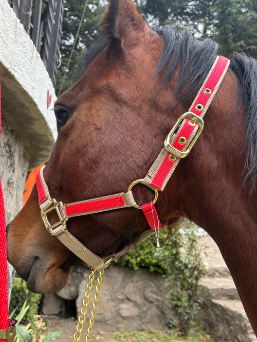 Almartingon para caballo